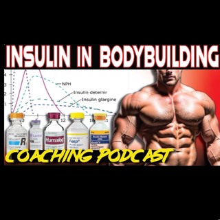 Blood Sweat & Gear 261 Insulin in Bodybuilding : Complete User Guide