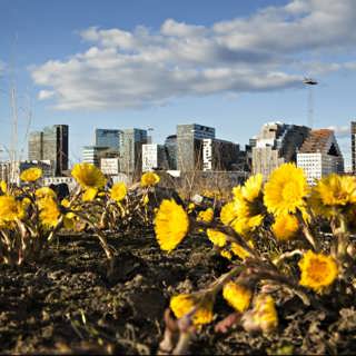 Torsdag 20 mars 2025