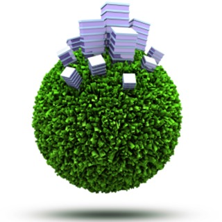 Change Mgt Issue - Sustainability