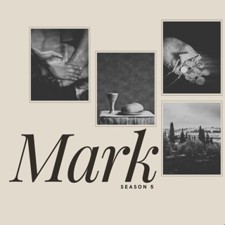 Mark Season 5: Part 7: The Dawn