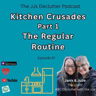 Kitchen Crusades Part 1 ~ "The Routine Clean Ep47 (AKA: How to Keep Your Kitchen From Becoming a Biology Experiment)"