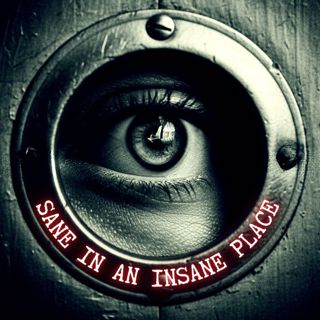 Sane in an INSANE Place: The Lie That Changed Psychiatry Forever