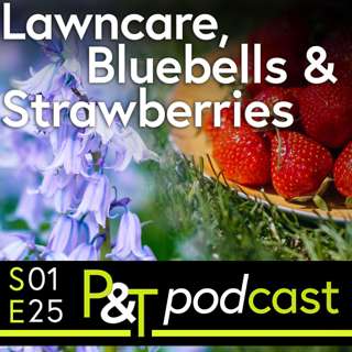 Lawncare Special with added Spanish Bluebells & Strawberries (No Cream!)