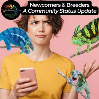 Newcomers & Breeders: A community update