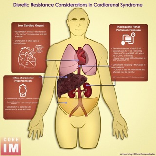 #158 Diuretics Resistance Cases