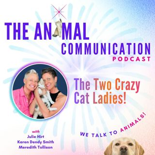 The Two Crazy Cat Ladies