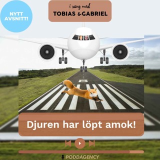 335. Djuren har löpt amok!
