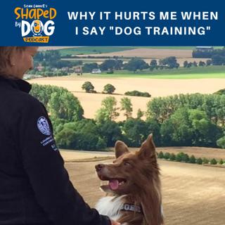 Why It Hurts Me When I Say "Dog Training" #28