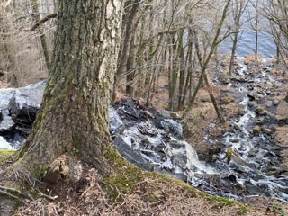 363. Dopsång