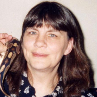 Who Murdered Rachel Anthony?