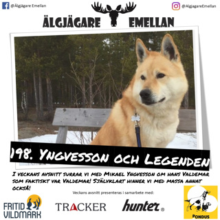 198. Yngvesson & Legenden