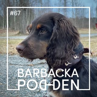 Valpkurs och nervpaket