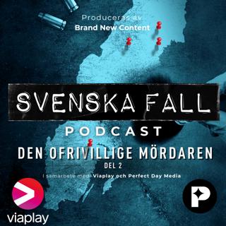 Den ofrivillige mördaren - del 2
