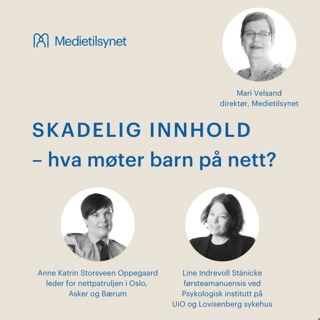 Skadelig innhold - hva møter barn på nett?