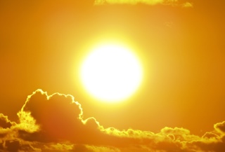 30. Vitamin D
