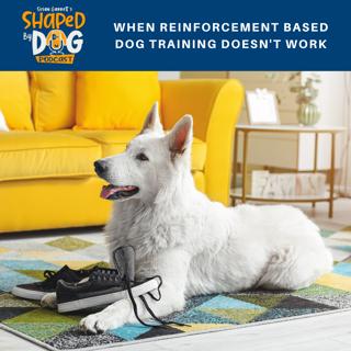 When Reinforcement Based Dog Training Doesn't Work #99