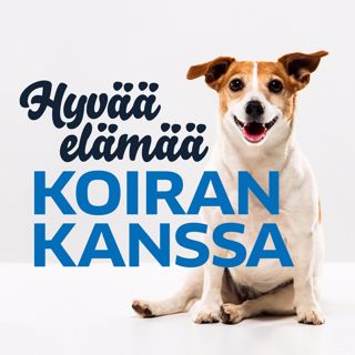 hyvaa-elamaa-koiran-kanssa
