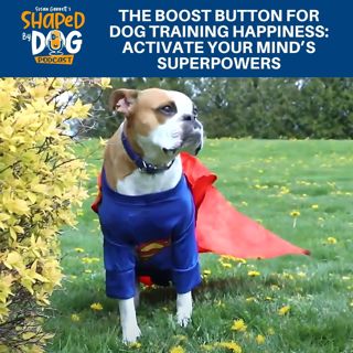 The Boost Button For Dog Training Happiness: Activate Your Mind's Superpowers #280
