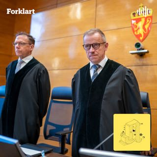 Forhindret dommerne i Tengs-saken et nytt justismord?