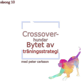 Crossover-hundar - Bytet av träningsstrategi