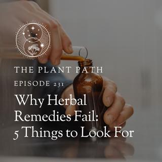 Why Herbs Don't Always Work (+ 5 Things to Look For)