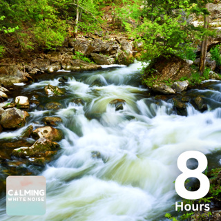 Gentle Stream Sounds (8 Hours) | Nature Sounds for Sleep, Study, and Meditation