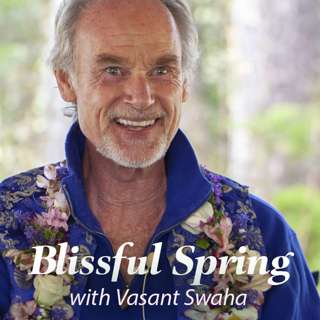 Blissful Spring - Primavera Extasiante