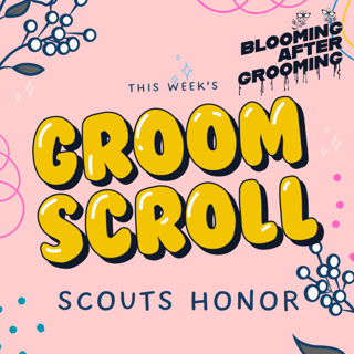 Groom Scroll- Scouts Honor: The Secret Files of the Boy Scouts of America