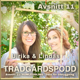 Avsnitt 11 - Humleodling och ölbryggning