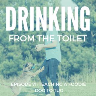 #71: Teaching a Foodie Dog to Tug