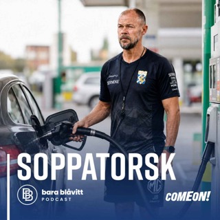 819. Soppatorsk