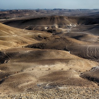 The 'Situation' in Israel - The Tamar Yonah Show