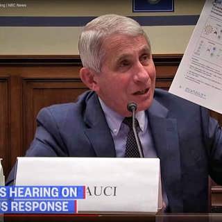 Drömmen om flockimmunitet