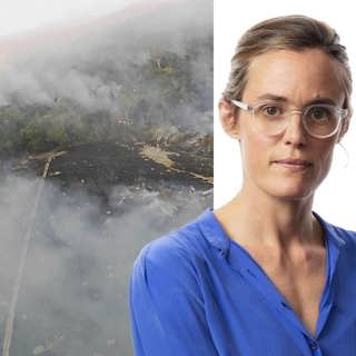 Lotten Collin: Gerillan bryr sig inte längre om skogen