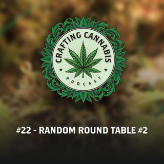 #22 - Random Round Table #2 - Aaaand we're back!