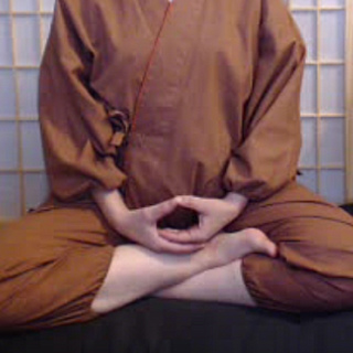 250 - In Zazen We Stop Imposing Ourselves on the World and Meet It Instead