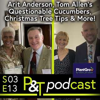 Wintery Plant Suggestions, Tom Allen’s Questionable Cucumbers & Why Arit Anderson is Speechless!