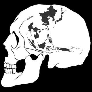 Reaction and Repression