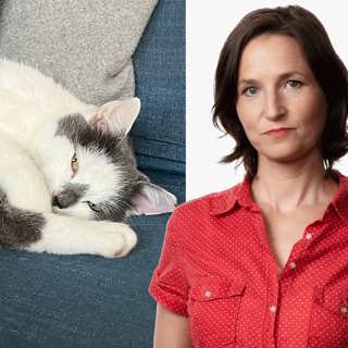 Krönika om en katt: Sara Heyman, Stockholm