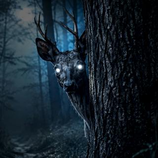 Never Follow a Deer That Knows Your Name | SCP-6448