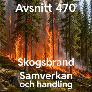 470. Skogsbrand, samverkan- och handlingsprincipen