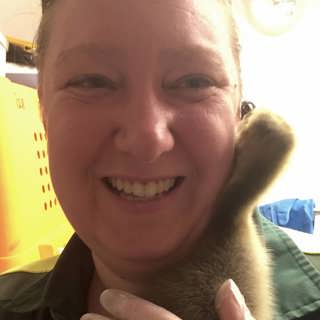 Elise räddar vilda djur från döden