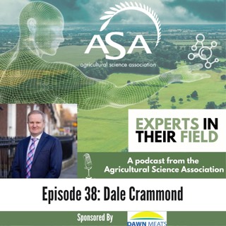 Episode 38 - Dale Crammond