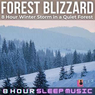 🌲 Forest Blizzard | 8 Hour Winter Storm in a Quiet Forest (No Music) for Deep Sleep, Meditation, & Relaxation 💤