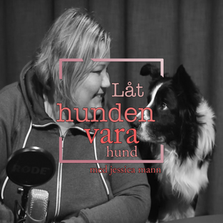Låt hunden vara hund