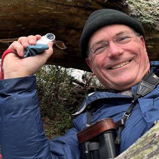 Skogens hjältar mossorna – och att hitta en svamp om dagen