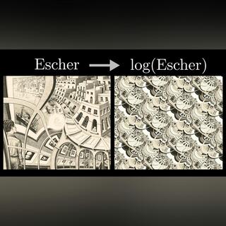 How (and why) to take a logarithm of an image