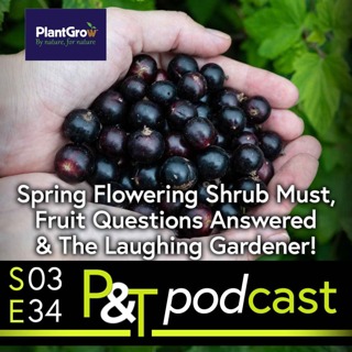 Unmissable Spring Flowering Shrub Job! Fruit Questions answered (jostaberry, blueberry, apples etc) & Laughing Gardener Joins us!
