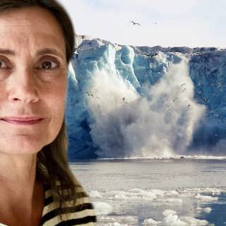 Delad verklighet: Att blunda sig igenom klimatkrisen