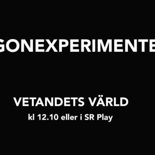 Podd: Ögonexperimenten del 1-3